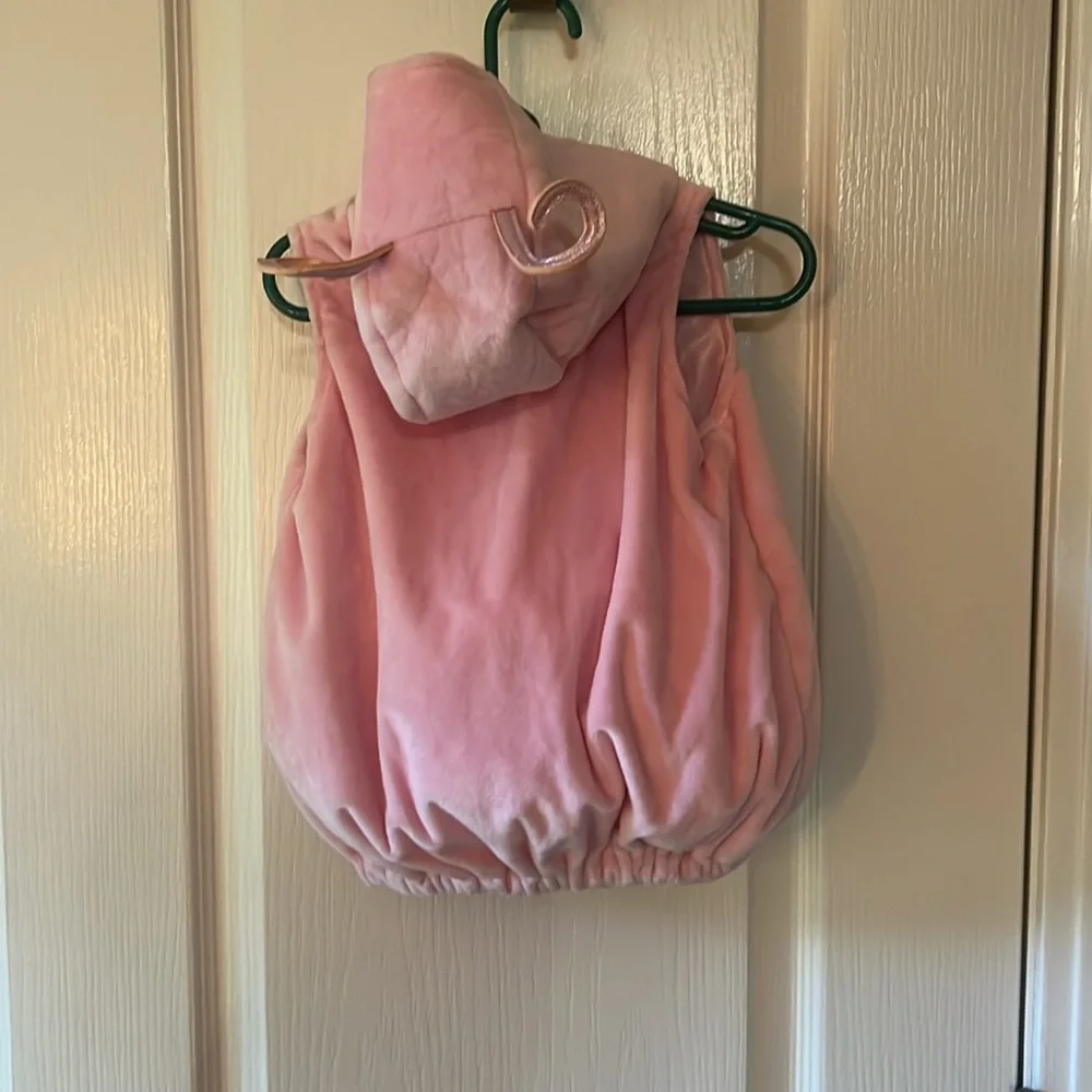 Dream Play Imagine Pink Butterfly Outfit